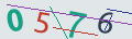 verifycode